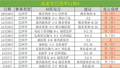 2028非洲杯全新启幕，四年一度盛宴与国家联赛同步扬帆起航！