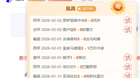 B席：7载荣耀征程，意料之外，非凡历程铭记心间。